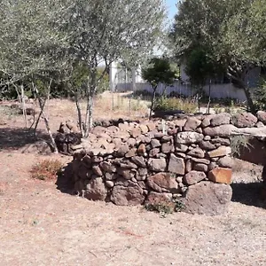 https://su-pinnetu.in-sardinia.net